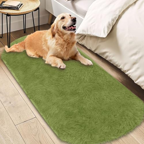 Insun Teppich Oval Wohnzimmer Hochflor Flauschig Waschbar Shaggy rutschfest Teppiche Schlafzimmer Grün 1 245 x 305 cm Insun Teppich Oval Wohnzimmer Hochflor Flauschig Waschbar Shaggy rutschfest Teppiche Schlafzimmer Grün 1 245 x 305 cm von Insun