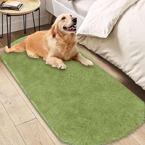 Insun Teppich Oval Wohnzimmer Hochflor Flauschig Waschbar Shaggy rutschfest Teppiche Schlafzimmer Grün 2 200 x 200 cm Insun Teppich Oval Wohnzimmer Hochflor Flauschig Waschbar Shaggy rutschfest Teppiche Schlafzimmer Grün 2 200 x 200 cm von Insun