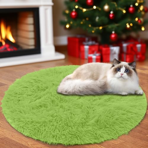 Insun Teppich Rund Wohnzimmer Hochflor Flauschig Waschbar Shaggy rutschfest Teppiche Schlafzimmer Green 1 120 cm von Insun