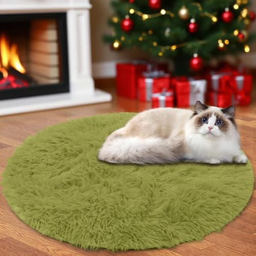 Insun Teppich Rund Wohnzimmer Hochflor Flauschig Waschbar Shaggy rutschfest Teppiche Schlafzimmer Green 2 120 cm von Insun