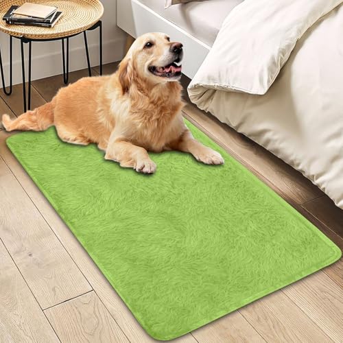 Insun Teppich Wohnzimmer Hochflor Flauschig Waschbar Shaggy rutschfest Teppiche Schlafzimmer Grün 1 80 x 120 cm Insun Teppich Wohnzimmer Hochflor Flauschig Waschbar Shaggy rutschfest Teppiche Schlafzimmer Grün 1 80 x 120 cm von Insun
