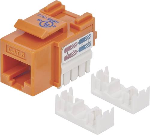 Intellinet 210775 RJ45-Einbaumodul Keystone CAT 6 1St. Intellinet 210775 RJ45-Einbaumodul Keystone CAT 6 1St. von Intellinet