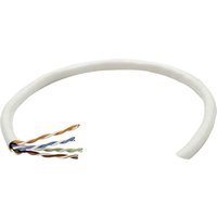 Intellinet 334136 Installationskabel CAT 6 U/UTP Grau 305m von Intellinet