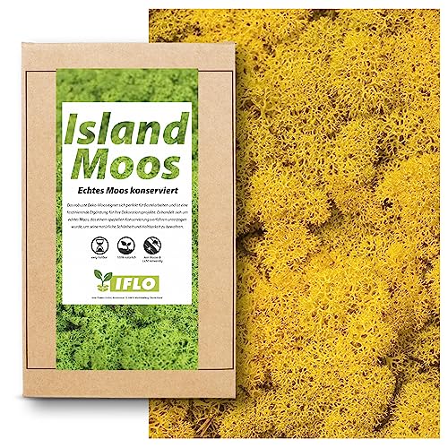 Echtes Moos - Natur Dekomoos zum basteln in verschiedenen frischen Sorten - DIY - Islandmoos, Plattenmoos, Bollenmoos, Hügelmoos Sphagnum Moos (100g - Island Moos Gelb) von Inter Flowers