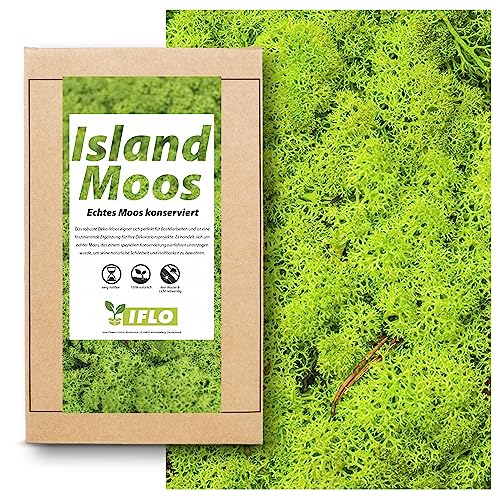 Inter Flowers Echtes Moos - Natur Dekomoos zum basteln in verschiedenen frischen Sorten - DIY - Islandmoos, Plattenmoos, Bollenmoos, Hügelmoos Sphagnum Moos (100g - Island Moos Hell Grün) von Inter Flowers