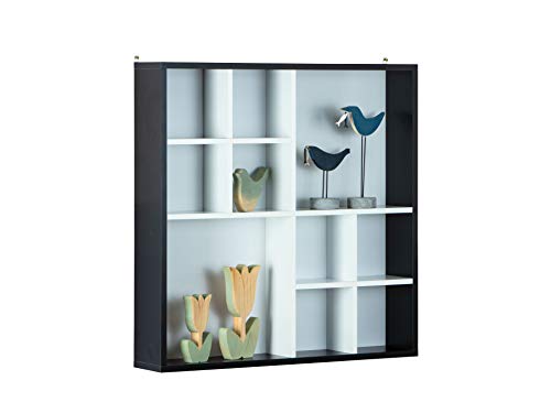 Inter Link - Setzkasten - Sammlerkasten - Vitrine - Sammlervitrine - Vitrine ohne Glas - Wandregal - 10 Fächer - Kollektor - Decem - MDF Schwarz/Weiß - 70 x 13 x 70 cm von Inter Link