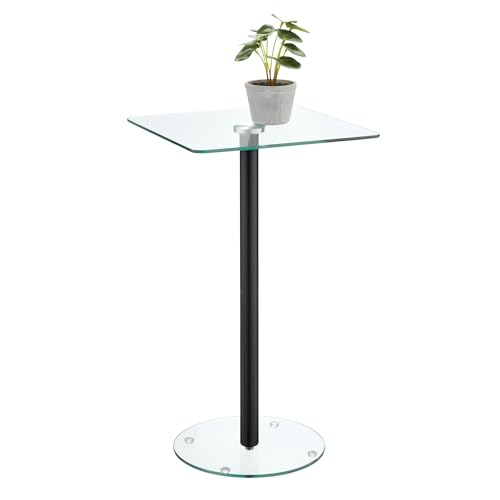 InterDesign iDesign Sally Quadratischer Getränketisch, klein, transparent, Mattschwarz, 30,5 x 30,5 x 55,9 cm von InterDesign