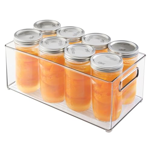 iDesign Fridge/Freeze Binz Kühlschrankbox, großer Aufbewahrungsbehälter aus Kunststoff, durchsichtig von InterDesign