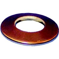 Intercable Tools Unterlegscheibe M10,240qmm,blank ICALCU10CS - 180082 Intercable Tools Unterlegscheibe M10,240qmm,blank ICALCU10CS - 180082 von Intercable Tools