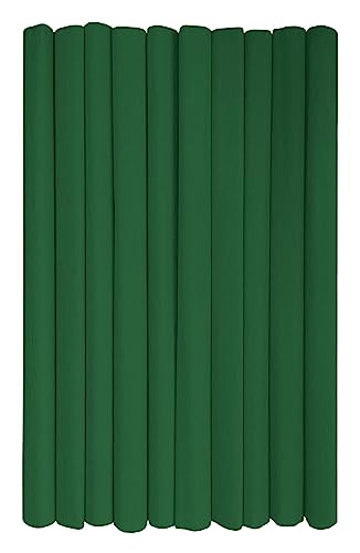 Interdruk - Crepe Paper Rolls for Kids, DIY and Decorations - Pack of 10 Reels (50cm x 200cm, 28g/m2) - 24 Dark Green von Interdruk