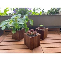 Blumentopf Holz Anzuchtset Klein - Schmuckkörbchen von InteriorDesignLaden