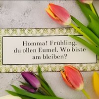 Gartenschild Metallschild - Hömma Frühling Lustiges Schild Shabby Spring Spruch Dekoschild Flur Eingangsbereich Mitbringsel Freunde von Interluxe