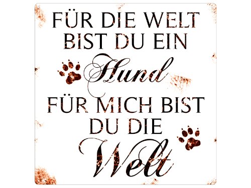 Interluxe 20x20CM Shabby Vintage BLECHSCHILD Metallschild FÜR DIE Welt BIST DU EIN Hund von Interluxe