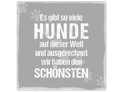 Interluxe 20x20cm METALLSCHILD Türschild ES GIBT SO VIELE Hunde Haustier Geschenk Lustig Interluxe 20x20cm METALLSCHILD Türschild ES GIBT SO VIELE Hunde Haustier Geschenk Lustig von Interluxe