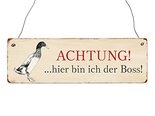 Interluxe Holzschild Dekoschild ACHTUNG HIER BIN ICH DER BOSS ENTE Teich Hinweisschild Interluxe Holzschild Dekoschild ACHTUNG HIER BIN ICH DER BOSS ENTE Teich Hinweisschild von Interluxe