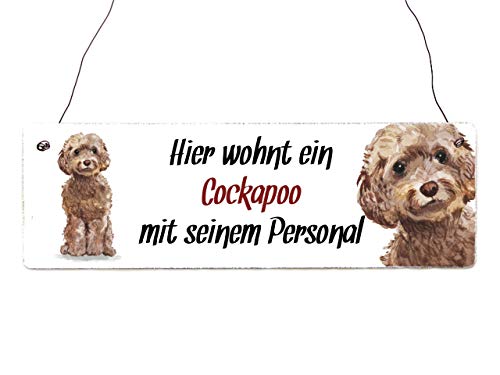 Interluxe Holzschild - Hier wohnt EIN Cockapoo - Schild, Türschild oder Hundeschild als Geschenk für Menschen mit Hund Interluxe Holzschild - Hier wohnt EIN Cockapoo - Schild, Türschild oder Hundeschild als Geschenk für Menschen mit Hund von Interluxe