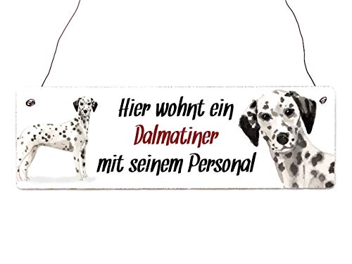 Interluxe Holzschild - Hier wohnt EIN Dalmatiner - Schild mit Spruch, Warnschild oder Hundeschild als Geschenk für Menschen mit Hund von Interluxe
