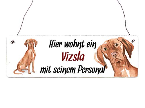 Interluxe Holzschild - Hier wohnt ein Vizsla - Türschild, Dekoschild, Warnschild als Geschenkidee für Menschen mit Hund von Interluxe