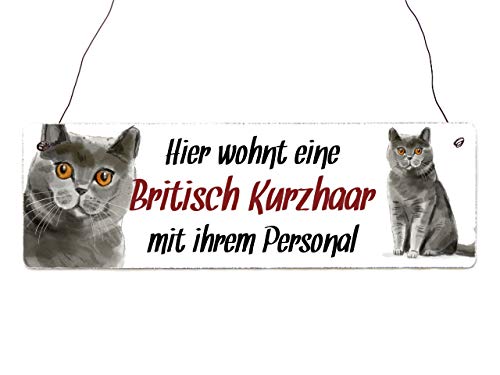 Interluxe Holzschild - Hier wohnt eine Britisch Kurzhaar - Türschild, Dekoschild, Schild als Geschenk für Menschen mit Katze von Interluxe