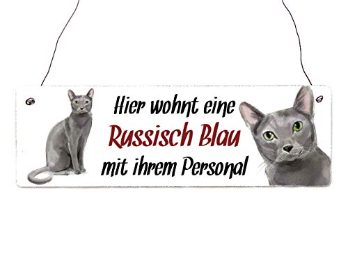 Interluxe Holzschild - Hier wohnt eine Russisch Blau - Türschild, Dekoschild, Schild als Geschenk für Menschen mit Katze von Interluxe