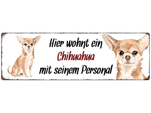 Interluxe Metallschild - Hier wohnt EIN Chihuahua - Dekoschild, Türschild oder Hundeschild als Geschenk für Menschen mit Hund von Interluxe