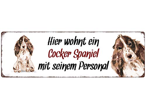 Interluxe Metallschild - Hier wohnt EIN Cocker Spaniel - wetterfestes Schild, Türschild, Warnschild oder Hundeschild als Geschenk für Menschen mit Hund von Interluxe