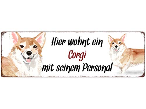 Interluxe Metallschild - Hier wohnt EIN Corgi - Dekoschild, Türschild oder Hundeschild als Geschenk für Menschen mit Hund von Interluxe