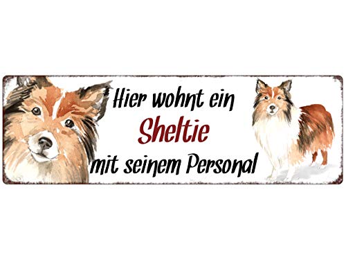Interluxe Metallschild - Hier wohnt EIN Sheltie - dekoratives Schild, Türschild, Blechschild als Geschenk für Menschen mit Hund von Interluxe