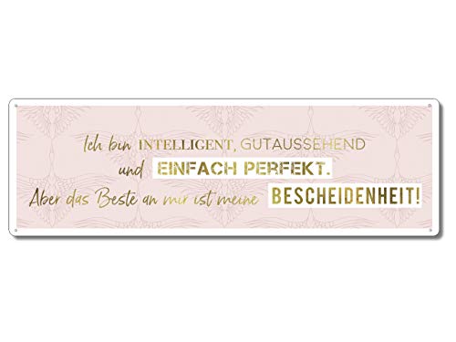 Interluxe Metallschild - Ich Bin intelligent gutaussehend und einfach perfekt - freches und witziges Schild als Geschenk für Familie, Freunde und Kollegen von Interluxe