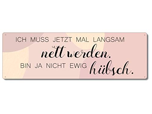 Interluxe Metallschild - Ich muss jetzt mal langsam nett Werden - Schild mit Spruch als Mitbringsel für Single-Freundin oder Freund Interluxe Metallschild - Ich muss jetzt mal langsam nett Werden - Schild mit Spruch als Mitbringsel für Single-Freundin oder Freund von Interluxe