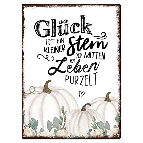 Interluxe Schild 300x220mm Metallschild Wandschild - Glück ist ein kleiner Stern - Spruchschild Herbst weißer Kürbis Baby Boo Dekoschild Spruch Herbstdeko Pumpkin von Interluxe