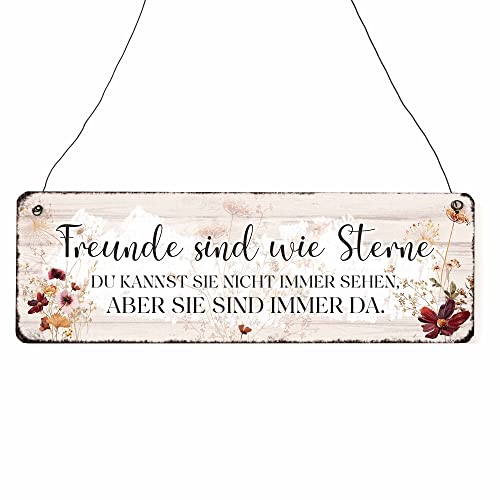 Interluxe Schild Holzschild - Freunde sind wie Sterne - Herbstzauber 22 Dekoschild Türschild Geschenk für Freund Freundin Blumen Landhaus von Interluxe