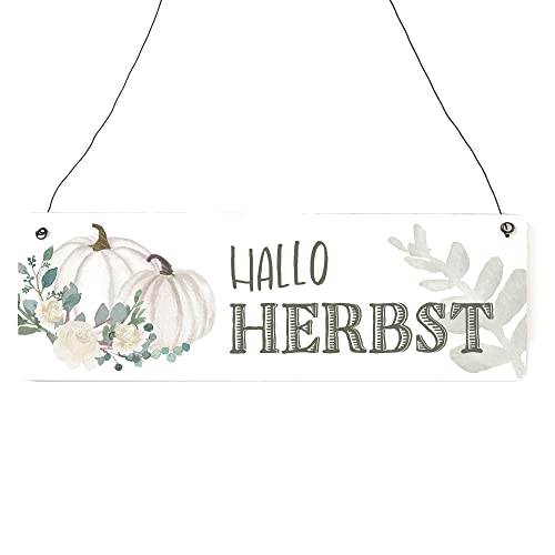 Interluxe Schild Holzschild - Hallo Herbst - weißer Kürbis Baby Boo Pumpkin Herbstzauber Dekoschild Türschild von Interluxe