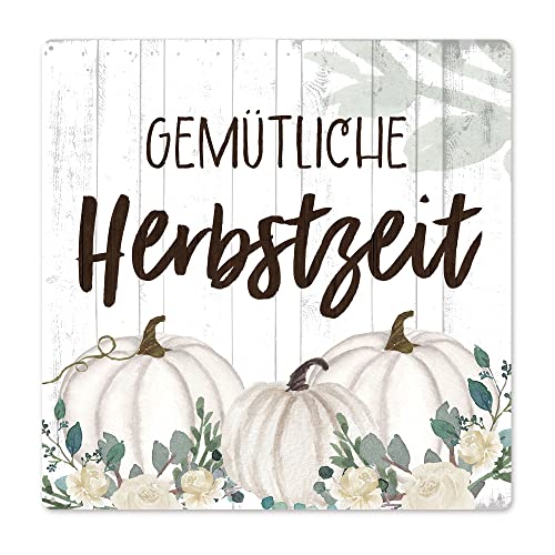 Interluxe Schild Metallschild 20x20cm - Gemütliche Herbstzeit - Herbst Herbstdeko Herbstschild weißer Kürbis Baby Boo Pumpkin Landhaus scandi von Interluxe