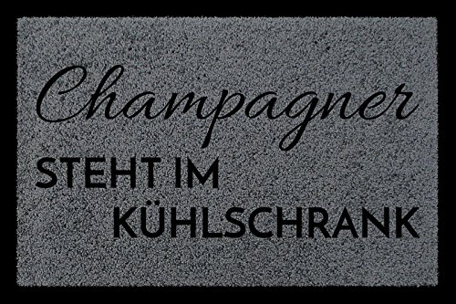 Interluxe TÜRMATTE Fußmatte Champagner Steht IM KÜHLSCHRANK Wohnung Eingang Viele Farben Dunkelgrau von Interluxe
