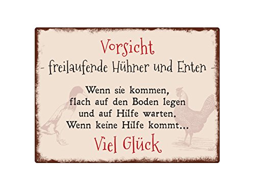 Interluxe WANDSCHILD Metallschild Vorsicht FREILAUFENDE HÜHNER UND Enten Shabby Warnschild von Interluxe