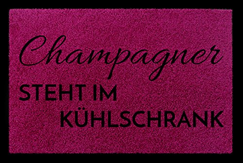 Interluxe TÜRMATTE Fußmatte Champagner Steht IM KÜHLSCHRANK Wohnung Eingang Viele Farben Fuchsia von Interluxe