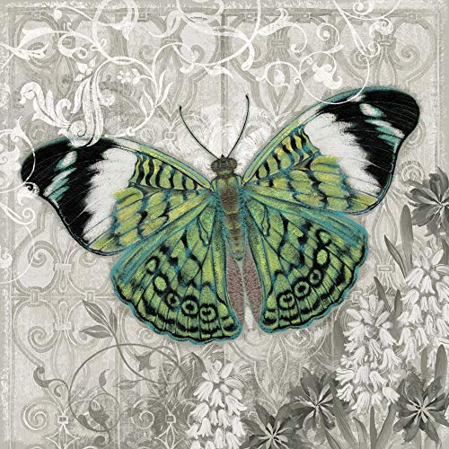 International Graphics Fertigbild - HOPFENSPERGER, Alan - ''Green Butterfly I'' - 30 x 30 cm - Direktdruck auf Acryl von International Graphics