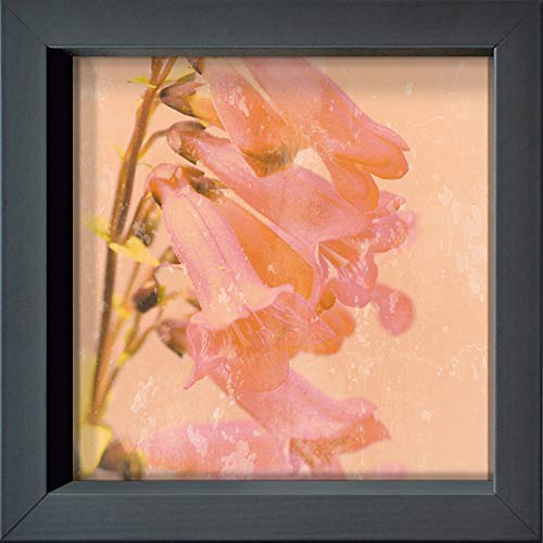 International Graphics Gerahmte Postkarte - Lambert, Tom - ''Romantic Foxglove'' - 16 x 16 cm - anthrazitfarbener Rahmen von International Graphics