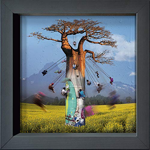 International Graphics Gerahmte Postkarte - MAÏLO/M-L VAREILLES - ''Envolée autour du Baobab'' - 16 x 16 cm - Rahmen in 4 verschiedenen Farben erhältlich (Anthrazit) von International Graphics