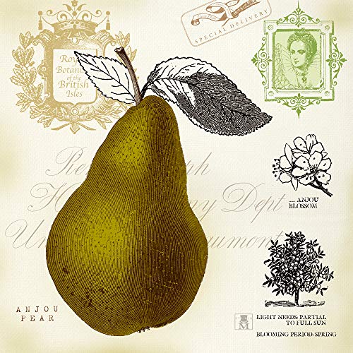 International Graphics Fertigbild - Studio Mousseau - ''Pear Notes'' - 30 x 30 cm - Direktdruck auf Acryl von International Graphics