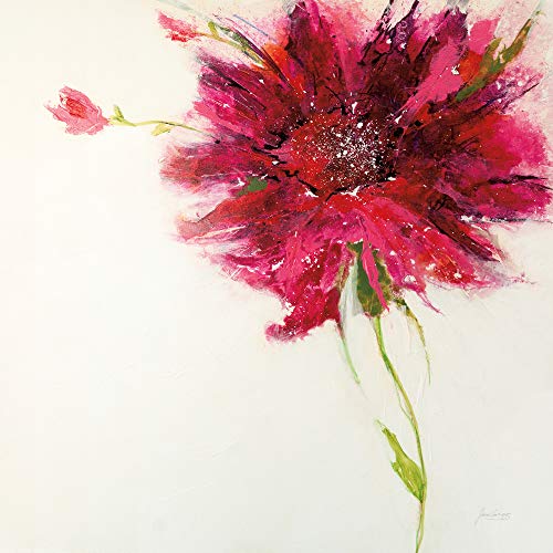 International Graphics Fertigbild - Griggs, Jan - ''Pink Daisy on White'' - 30 x 30 cm - Direktdruck auf Acryl von International Graphics