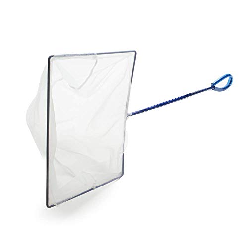 Interpet 1745 Aquarienfische net, 7 x 10 inch von Interpet