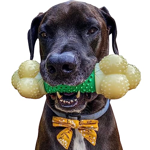 Interpet 981420 Nylabone - Da Chew-Kauknochen, souper, XL von Nylabone