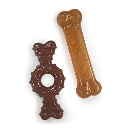 Interpet 983052 Nylabone Puppy Ring und Knochen Doppelpack, petite von Nylabone