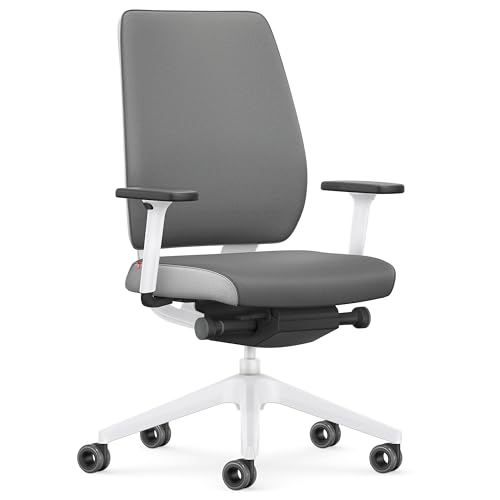Interstuhl Joyce Interior Edition - ergonomischer Bürostuhl - Schreibtischstuhl mit Synchromechanik - verstellbare Rückenlehne und Lordose - Designer-Rollen (Grau | Hellgrau) von Interstuhl