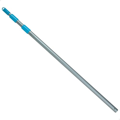Intex 29054 – Teleskopstange aus Aluminium, Grau, 239 cm, Ø 26,2 mm Intex 29054 – Teleskopstange aus Aluminium, Grau, 239 cm, Ø 26,2 mm von Intex