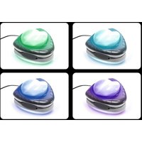 Intex - LED-Pool-Wandleuchte Magnetisch 28698 von Intex