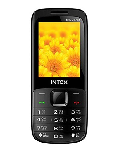 Intex Schwimmbad-Heizung, Estándar von Intex