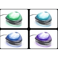 LED-Pool-Wandleuchte Magnetisch 28698 Intex von Intex